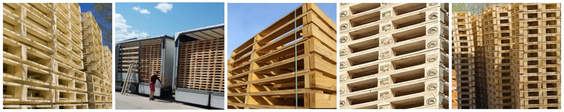 Palettensorten aus Holz - von der EPAL Europalette und der Einwegpalette bis hin zur Sonderpalette für Tansport und Logistik